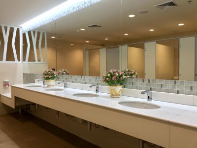 Elegant Vanity Area
